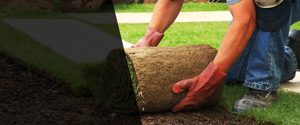 Peoria Heights Landscapers